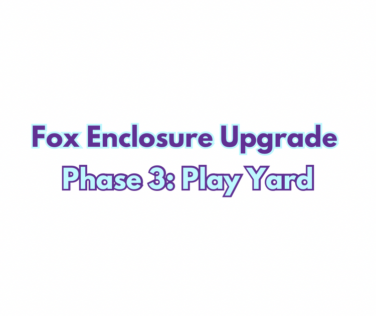 Facility Upgrade Phase 3: Play Yard