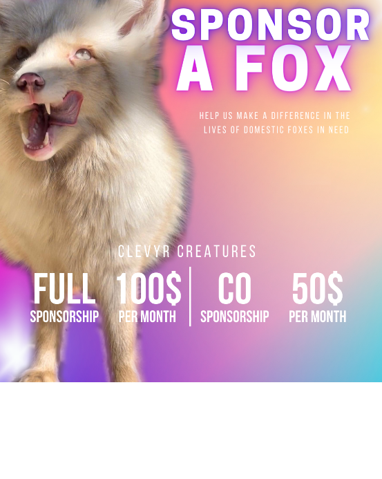 Silver Fox Sponsorship