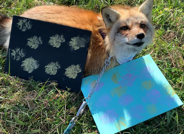Custom Paw Painting
