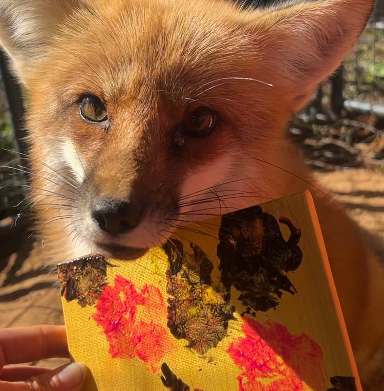 Hildi - 6x6 Paw Print Painting