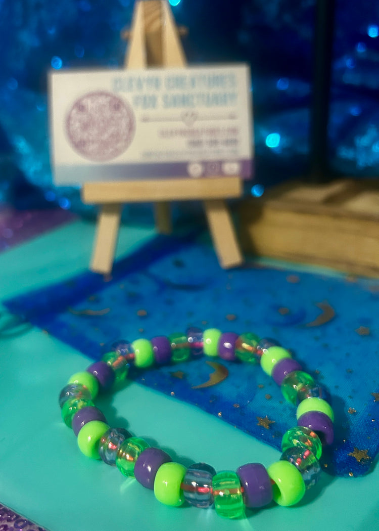 Pony Bead Bracelets - Pawsitive Collection