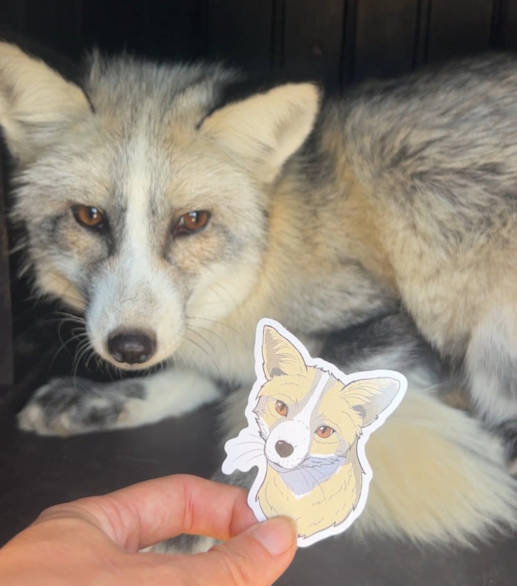 Waterproof vinyl Sticker Pack