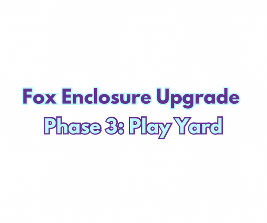 Facility Upgrade Phase 3: Play Yard