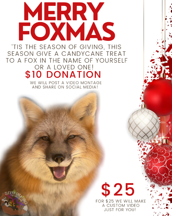 Foxmas Candy Cane Treat Donation